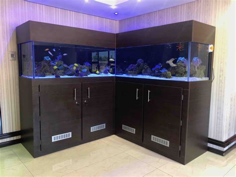 fish tanks for sale|Fish Tanks in Fish Supplies .
